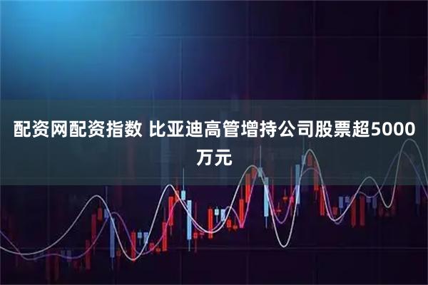 配资网配资指数 比亚迪高管增持公司股票超5000万元