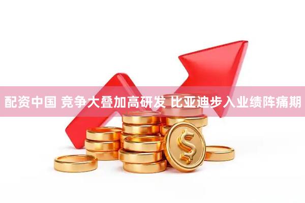 配资中国 竞争大叠加高研发 比亚迪步入业绩阵痛期