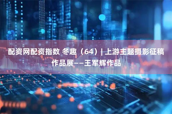 配资网配资指数 冬趣（64）| 上游主题摄影征稿作品展——王军辉作品