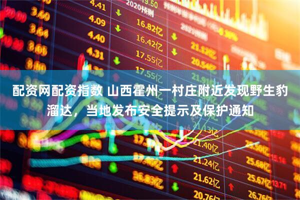 配资网配资指数 山西霍州一村庄附近发现野生豹溜达，当地发布安全提示及保护通知