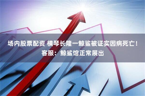 场内股票配资 横琴长隆一鲸鲨被证实因病死亡！客服：鲸鲨馆正常展出