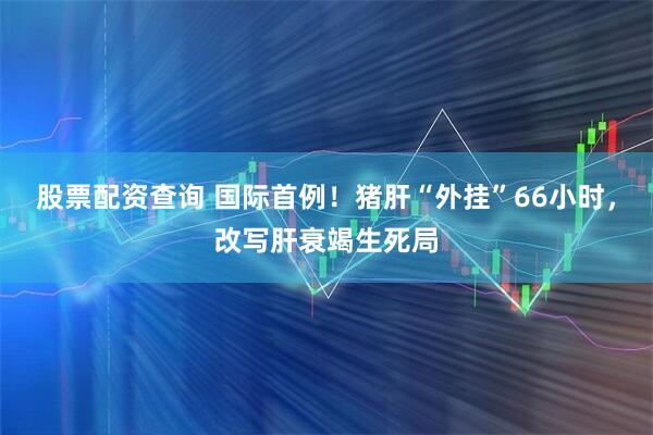 股票配资查询 国际首例！猪肝“外挂”66小时，改写肝衰竭生死局