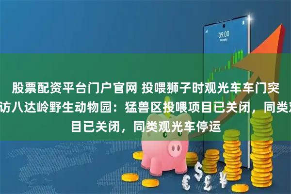 股票配资平台门户官网 投喂狮子时观光车车门突然打开! 探访八达岭野生动物园：猛兽区投喂项目已关闭，同类观光车停运