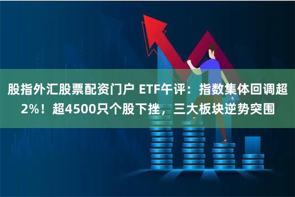 股指外汇股票配资门户 ETF午评：指数集体回调超2%！超4500只个股下挫，三大板块逆势突围